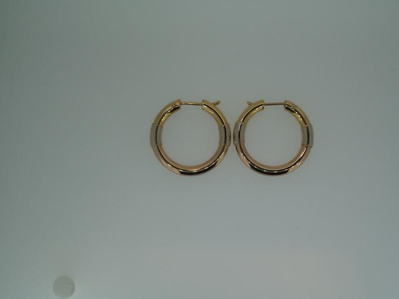 COPPIA ORECCHINI DUE ORI 750/1000 CERCHI  - 